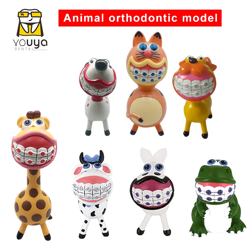 מעניין מודלים של בעלי חיים של שיניים אורתודונטיה שיניים מלאכת שיניים המתנה לרפואת שיניים בבית החולים או במרפאה, קישוט ריהוט