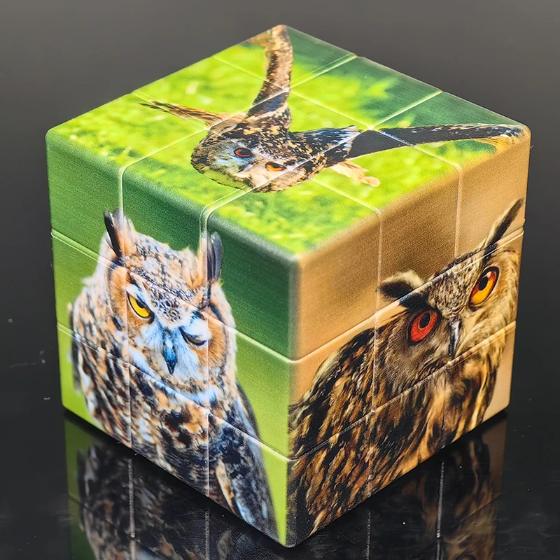 חדש פאזל קוביית קסם מקצועי 3x3x3 ינשוף תבנית מהירות Magio Cubo ילדים המוקדמת של החינוך צעצועים Burthday מתנה למשפחה המשחק