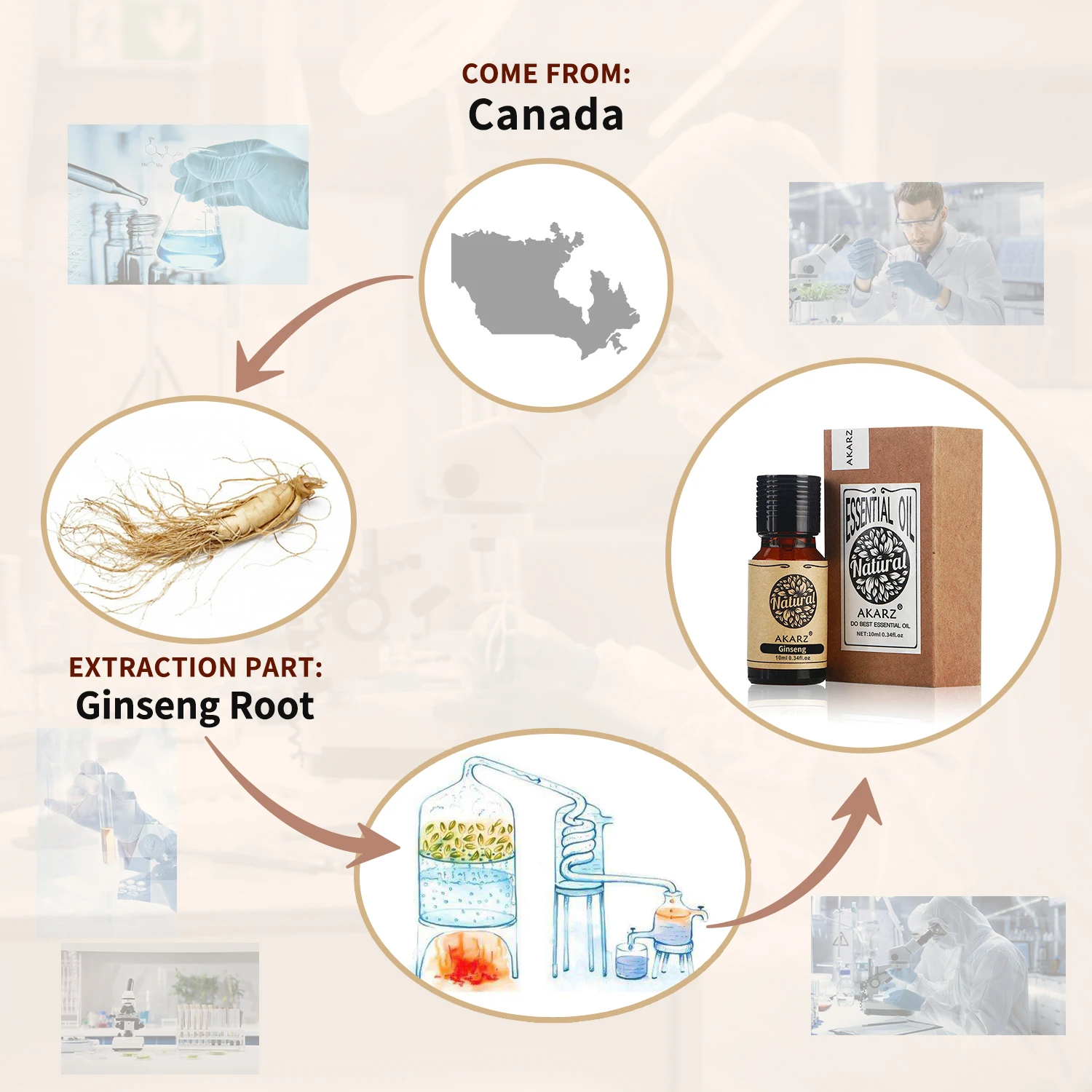 AKARZ ג 'ינסנג, שמן אתרי טבעי לעור לחות תזונה של תאי העור להקל על עייפות ג' ינסנג, שמן