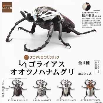 אז-טה Gashapon כמוסה צעצוע 1/1 סופר גדול מדומה חרקים חיפושית שולחן קישוטים מודל Decoratoion Gacha ילדים מתנות
