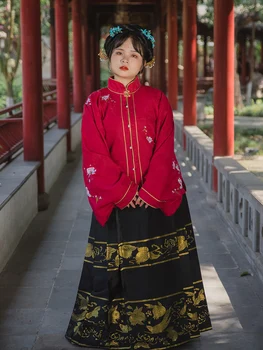 גודל גדול מינג Hanfu גדול 5XL סוס חצאית אמא Mian חצאית סינית מסורתית בגדים AncientChinese Hanfu מסיבת תלבושת