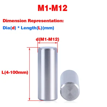 304 נירוסטה מוצק גלילי Pin / איתור Pin / מתקן הסיכה M1-M12