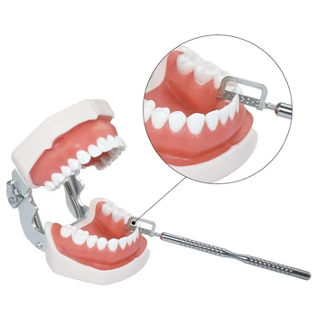 1Box אורתודונטי Interproximal אמייל הפחתה הפחתה אוטומטית רצועות כפולות פתוחות ראה שיניים ליטוש Contouring כלים