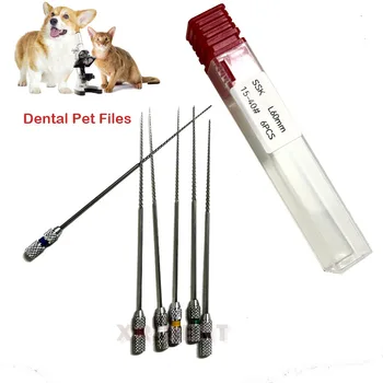 נירוסטה שיניים חיות מחמד/בעלי חיים רוטרי קבצי שורש רופא שיניים קבצים עבור בעלי חיים טיפול שורש טיפול שיניים Accessries