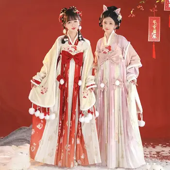 2 צבעים שושלת סונג הסינית סגנון נשים חורף Hanfu השמלה להגדיר ארנב נושא מתוק עם קפלים חצאית אלגנטית מוך קצה המעיל.